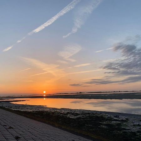 Vakantiewoning De Bosrand Aan Zee 신트 아날란트 외부 사진