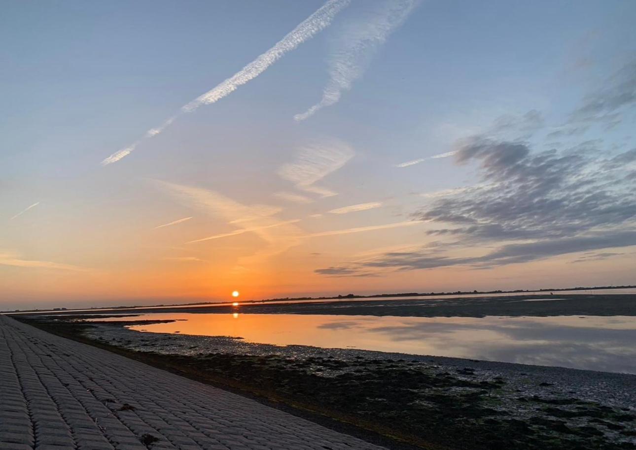Vakantiewoning De Bosrand Aan Zee 신트 아날란트 외부 사진