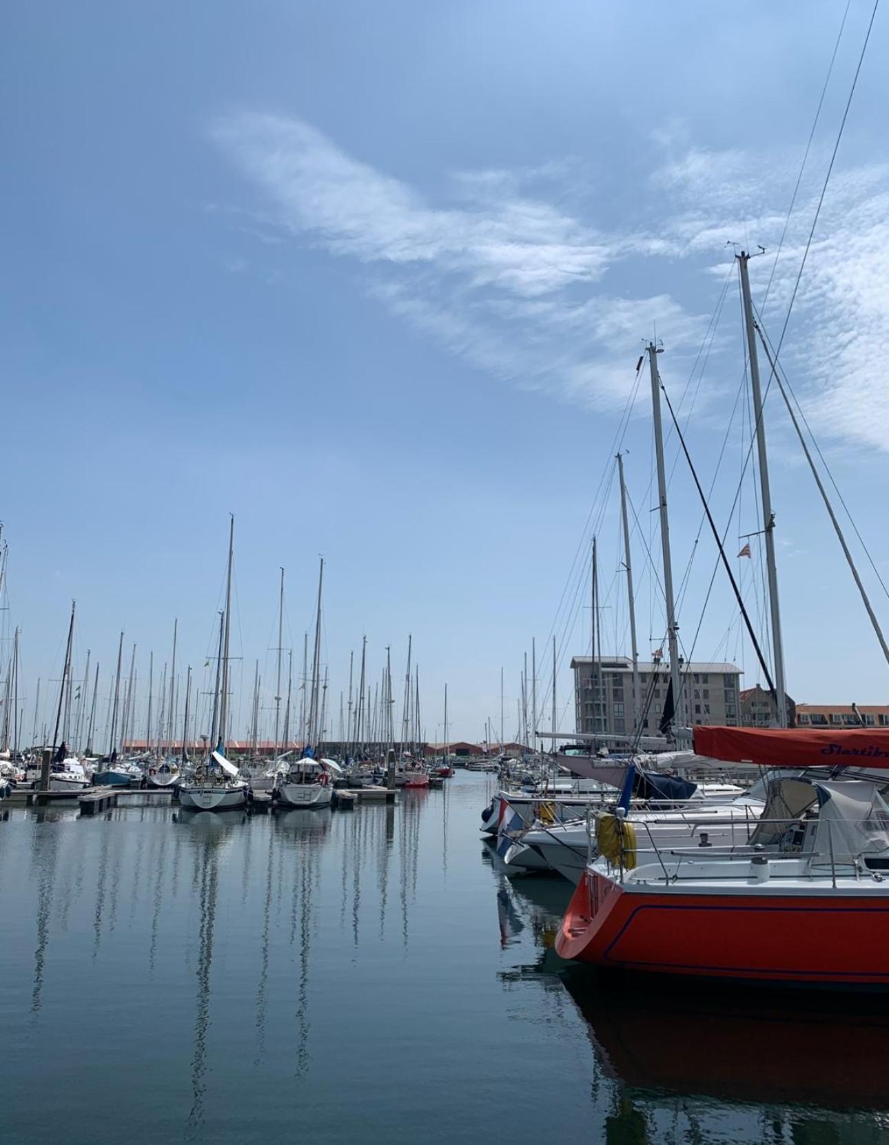 Vakantiewoning De Bosrand Aan Zee 신트 아날란트 외부 사진