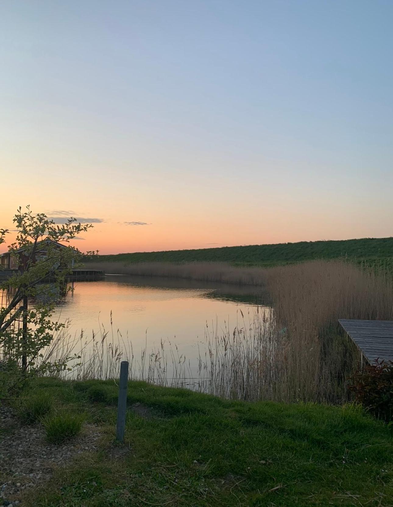 Vakantiewoning De Bosrand Aan Zee 신트 아날란트 외부 사진