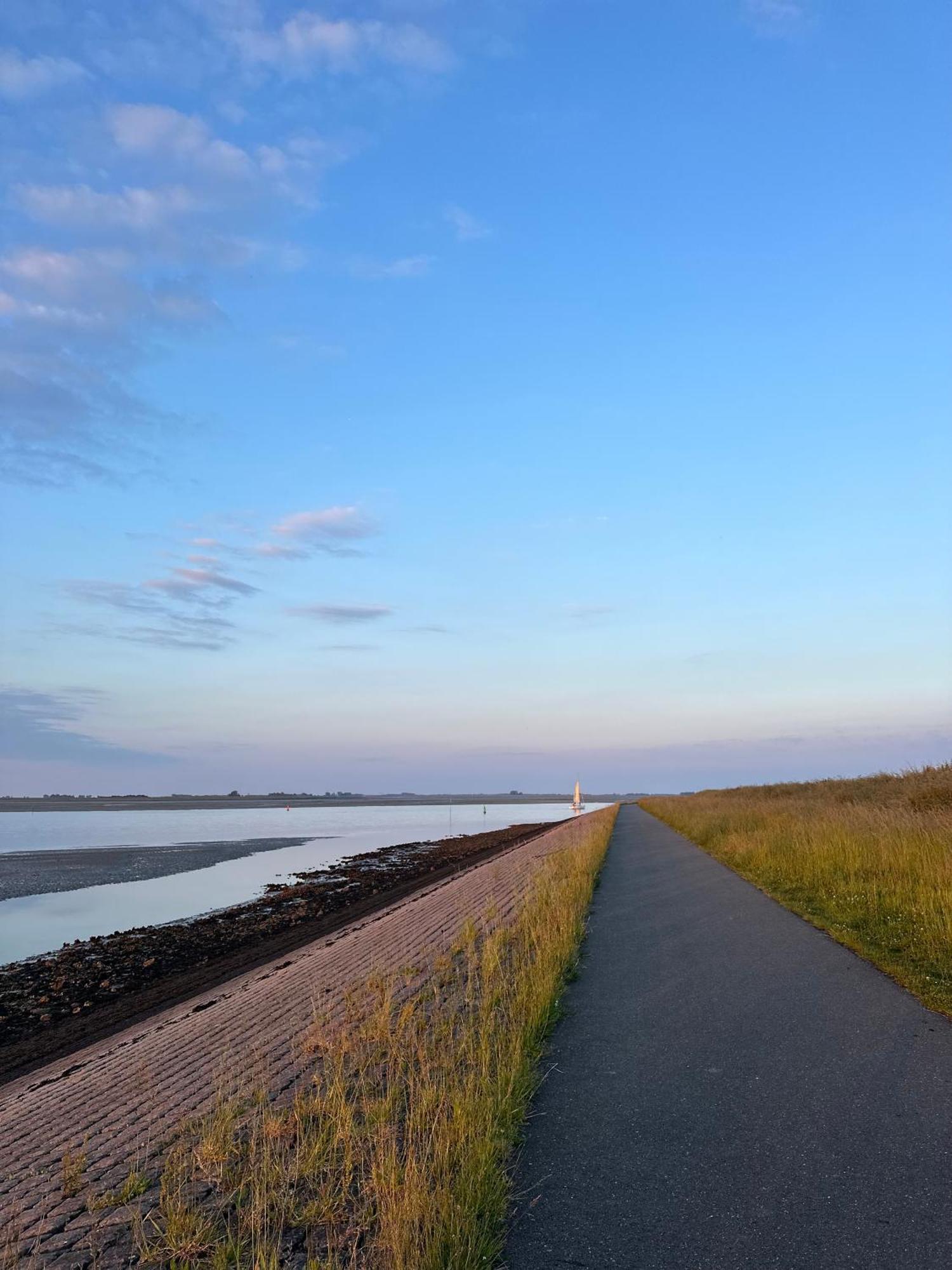 Vakantiewoning De Bosrand Aan Zee 신트 아날란트 외부 사진