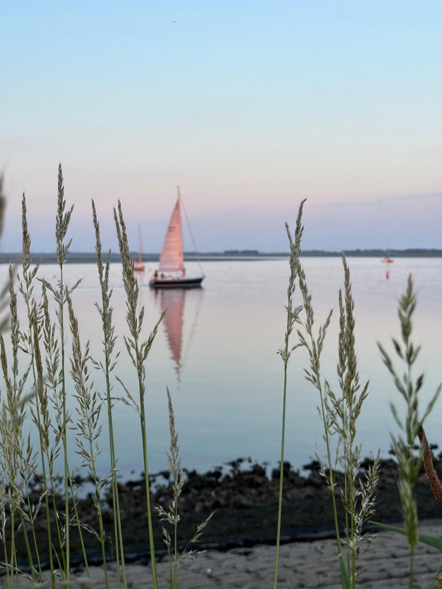 Vakantiewoning De Bosrand Aan Zee 신트 아날란트 외부 사진