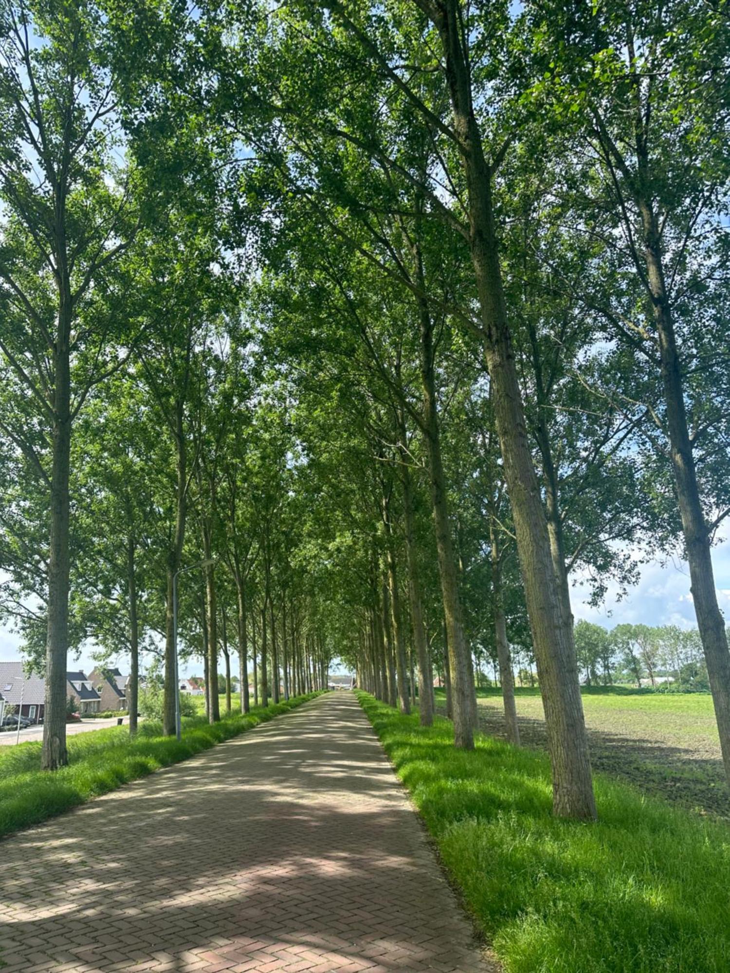 Vakantiewoning De Bosrand Aan Zee 신트 아날란트 외부 사진